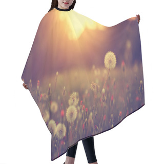 Personality  Vintage Photo Of Dandelion Field In Sunset Hair Cutting Cape