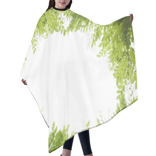 Personality  Panoramic Green Leaves On White Background Hair Cutting Cape