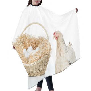 Personality  Hen With Wicker Basket And Eggs Isolated On White Hair Cutting Cape