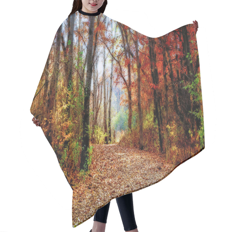 Personality  Enchanted Minnesota Forest Path In Indian Summer Hair Cutting Cape