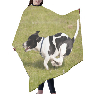 Personality  Dog Race Hair Cutting Cape