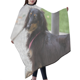 Personality  Black Brown Badger Dog Street Green Grass Hair Cutting Cape