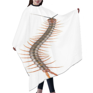 Personality  Centipede Isolated Hair Cutting Cape