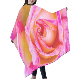 Personality  Macro Rose Images In Rose Garden Hair Cutting Cape