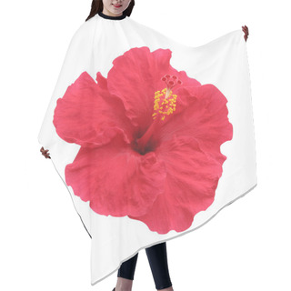 Personality  Hibiscus Flower - Isolated, Path Hair Cutting Cape