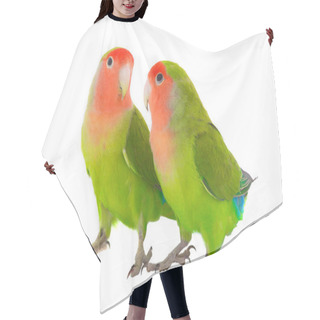Personality  Two Lovebird Parrot Hair Cutting Cape