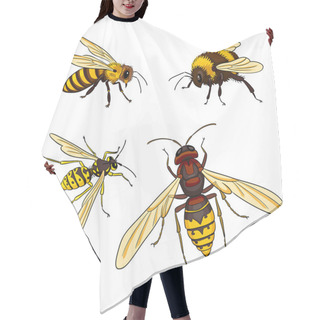 Personality  Bee, Wasp, Bumblebee, Hornet - Vector Illustration Hair Cutting Cape