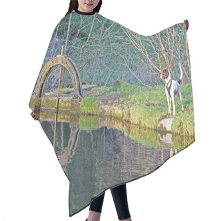 Personality  Dog Stood Nest To A River Weir Gate Hair Cutting Cape
