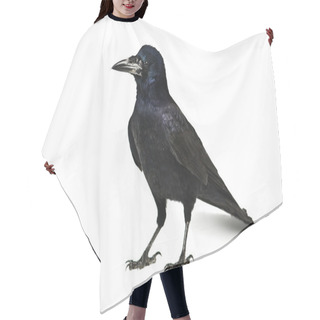 Personality  Crow Hair Cutting Cape