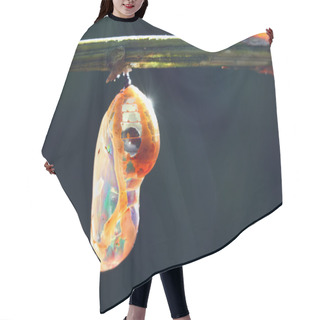 Personality  Colorful Pupa Hair Cutting Cape