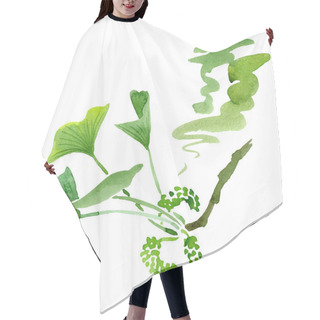 Personality  Green Ginkgo Biloba With Leaves Isolated On White. Watercolour Ginkgo Biloba Drawing Isolated Illustration Element. Hair Cutting Cape