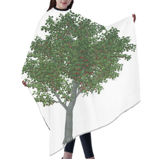 Personality  Sweet Or Wild Cherry Tree - 3D Render Hair Cutting Cape