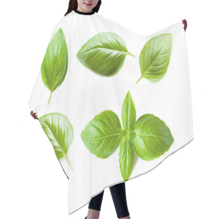 Personality  Set Of Fresh Basil Leaves Hair Cutting Cape