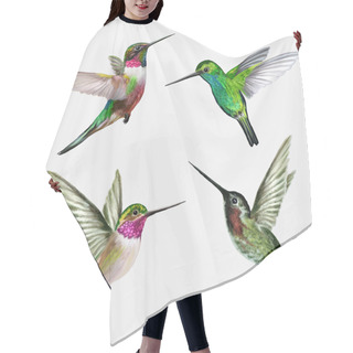 Personality  Set Four Small Bird Hummingbird, Vector Illustration Hair Cutting Cape