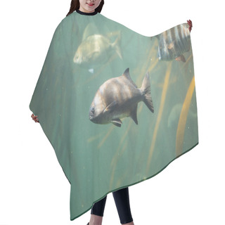 Personality  Largemouth Bass In Water Hair Cutting Cape