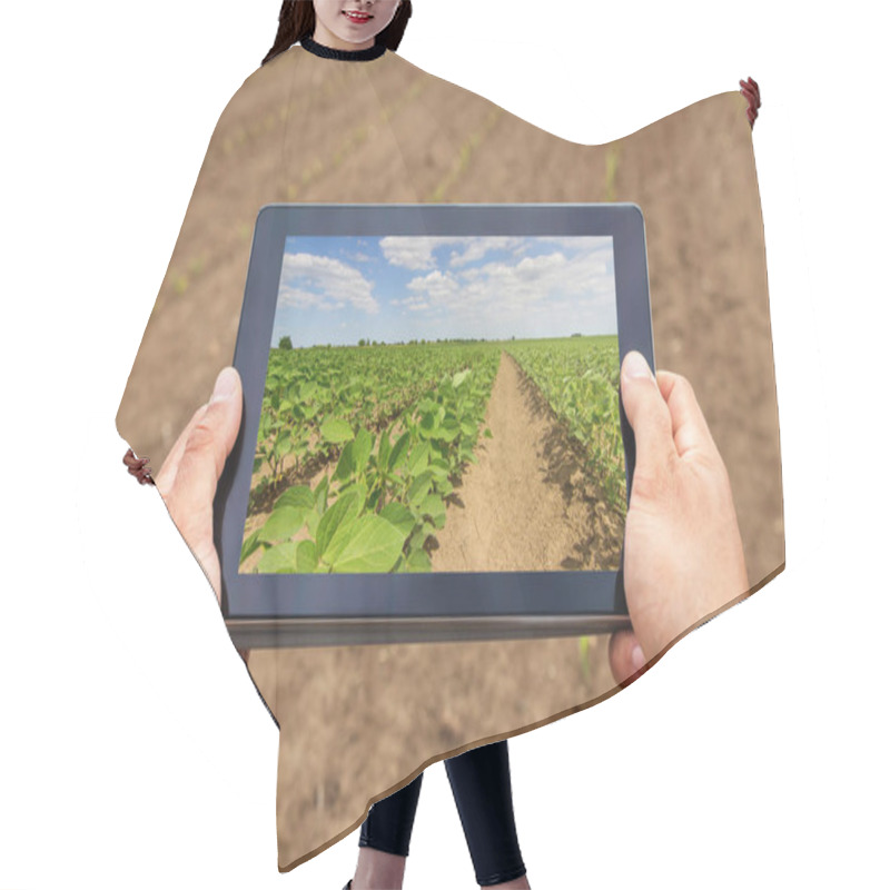 Personality  Smart Agriculture. Farmer Using Tablet Soy Planting. Modern Agri Hair Cutting Cape