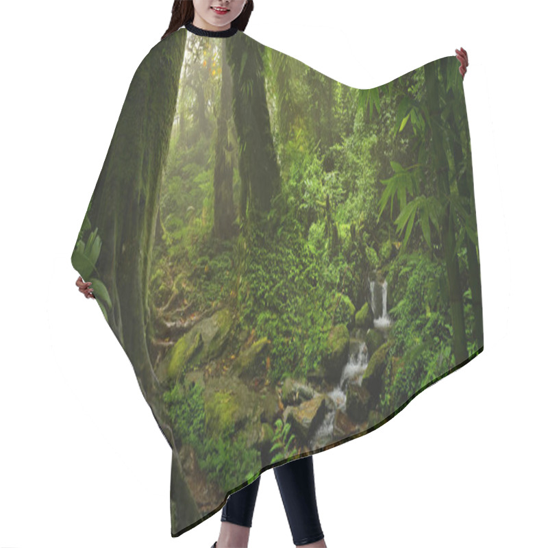 Personality  Tropical Rain Forest In Asia Hair Cutting Cape
