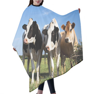 Personality  Cows Hair Cutting Cape