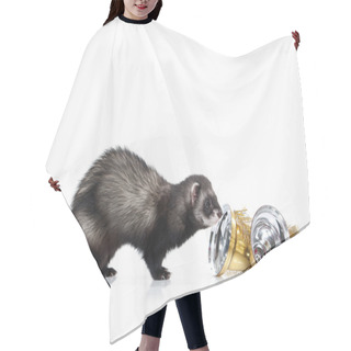 Personality  Young Ferret On White Background Hair Cutting Cape