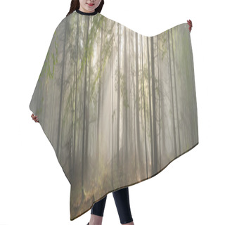 Personality  Carpathian Forest Trees Hair Cutting Cape