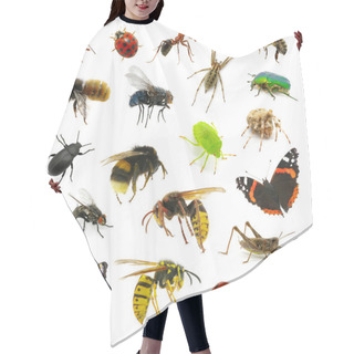 Personality  Set Of Insects Hair Cutting Cape