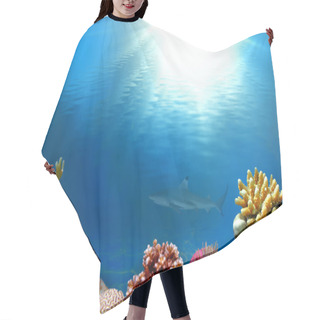 Personality  An Underwater Scene With Sun Rays Shining Through The Water Hair Cutting Cape