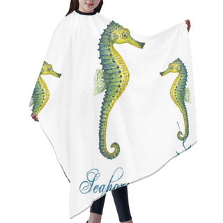 Personality  Watercolor Seahorse, Isolated Hair Cutting Cape