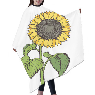 Personality  Vector Illustration. Sunflower Hair Cutting Cape