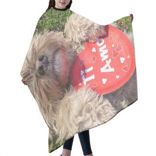 Personality  Dog Valentine Hair Cutting Cape