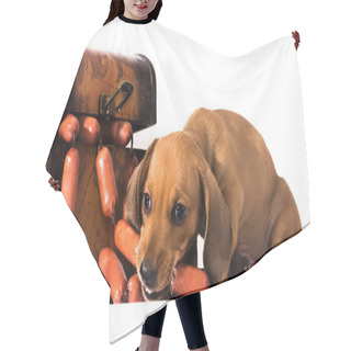 Personality  Sausages And Puppy Dachshund Hair Cutting Cape