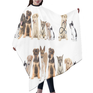 Personality  Set Pets Hair Cutting Cape