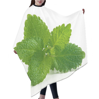 Personality  Bee Balm Hair Cutting Cape