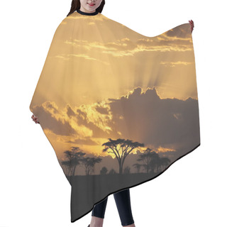 Personality  Sunset In Africa With Acacia Tree On Background Hair Cutting Cape