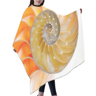 Personality  Nautilus Shell Isolated On White Background Hair Cutting Cape