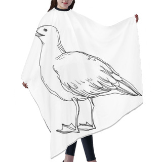 Personality  Vector Sky Bird Seagull In A Wildlife Isolated. Black And White Engraved Ink Art. Isolated Seagull Illustration Element. Hair Cutting Cape