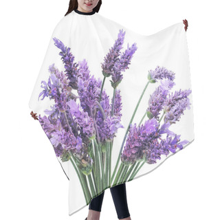 Personality  Lavender Hair Cutting Cape