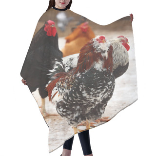 Personality  Hens In Winter Hair Cutting Cape