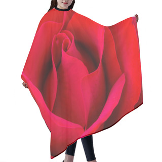 Personality  Macro Rose Images In Rose Garden Hair Cutting Cape