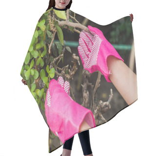 Personality  Cropped Shot Of Woman In Pink Rubber Gloves Working With Green Plants Hair Cutting Cape