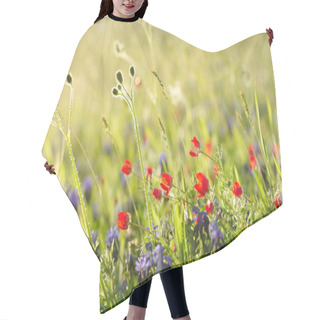 Personality  Red Field Flowers With Green Crops. Shallow DOF Hair Cutting Cape
