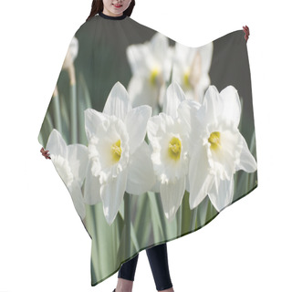 Personality  White Narcissus Flowers Hair Cutting Cape