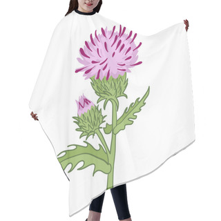Personality  Vector Illustration Of A Thistle Flower And Bud Hair Cutting Cape