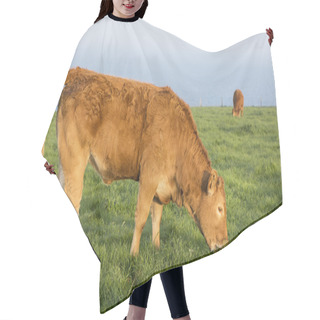 Personality  Cow Grass And Sea Hair Cutting Cape