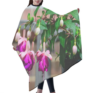 Personality  Group Of Pink Fuchsia Flowers And Green Leaves In A Garden, In A Sunny Summer Day Hair Cutting Cape