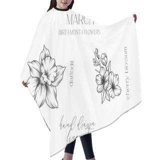 Personality  March Birth Month Flowers. Daffodil Outline Isolated On White. Cherry Blossom Line Art. Hand Drawn Line Art Botanical Illustration. Black And White Flowers Hair Cutting Cape