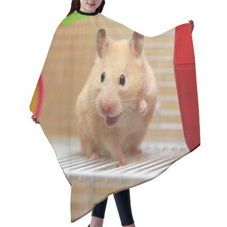 Personality  Cream Hamster Hair Cutting Cape