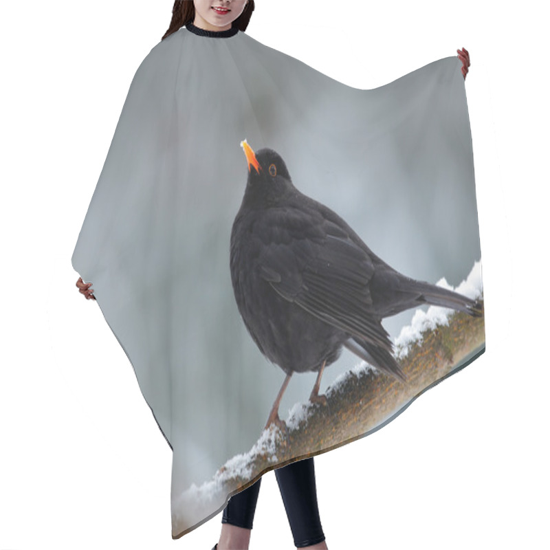 Personality  Black Bird Sitting On The Branch Hair Cutting Cape