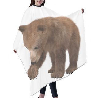 Personality  Little Brown Bear Hair Cutting Cape
