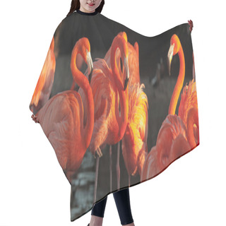 Personality  Carribean Flamingos Over Beautiful Sunset Hair Cutting Cape