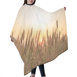 Personality  Bales In Field And Sunset, Soft Focus Hair Cutting Cape